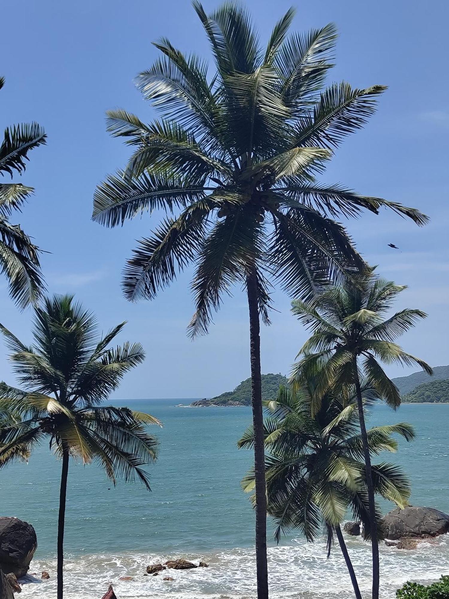 Hilltop Seaview Palolem Goa Hotel Eksteriør billede