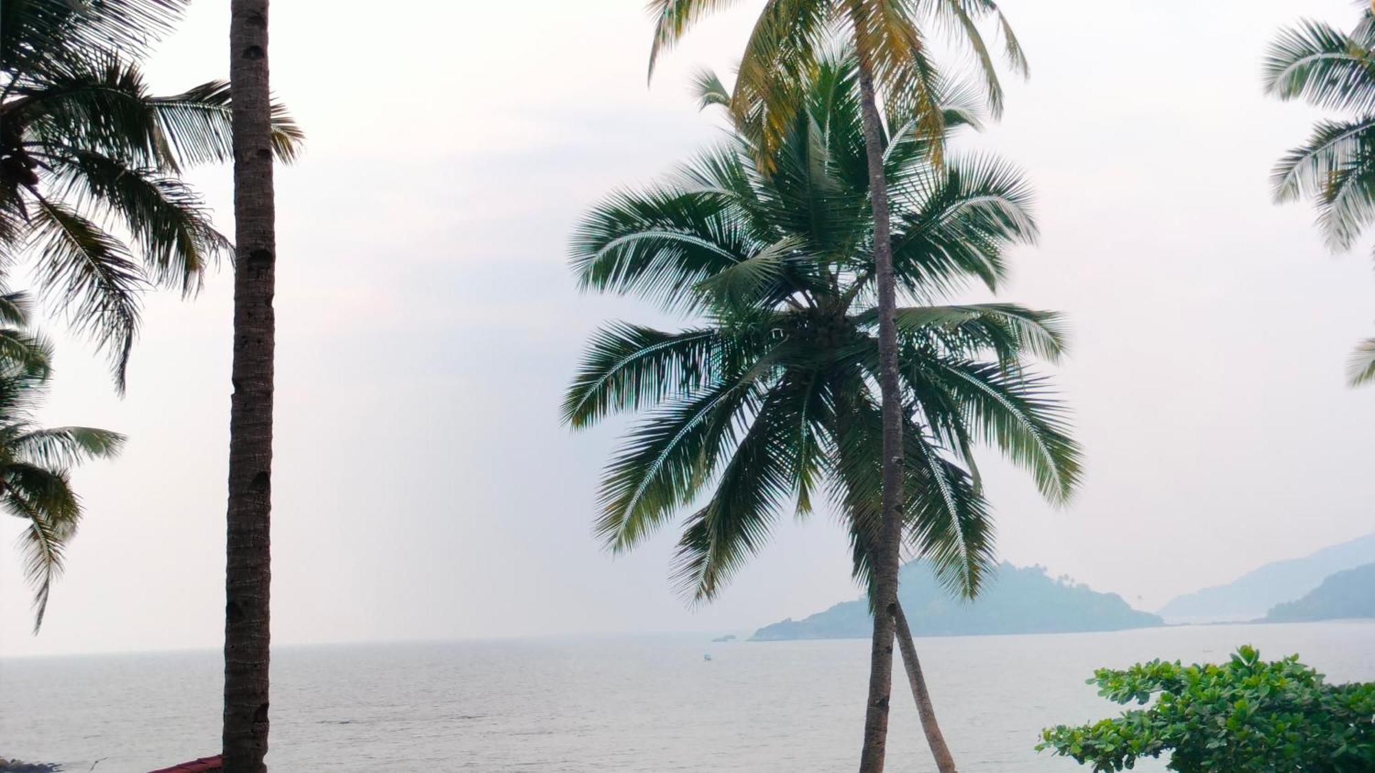 Hilltop Seaview Palolem Goa Hotel Værelse billede