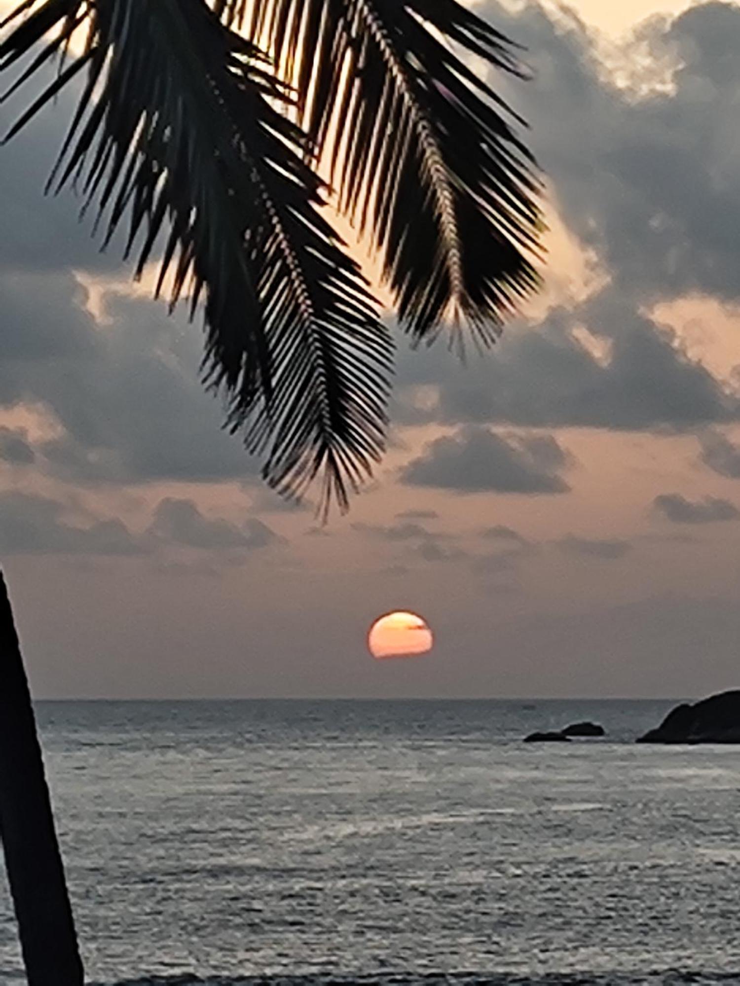Hilltop Seaview Palolem Goa Hotel Eksteriør billede