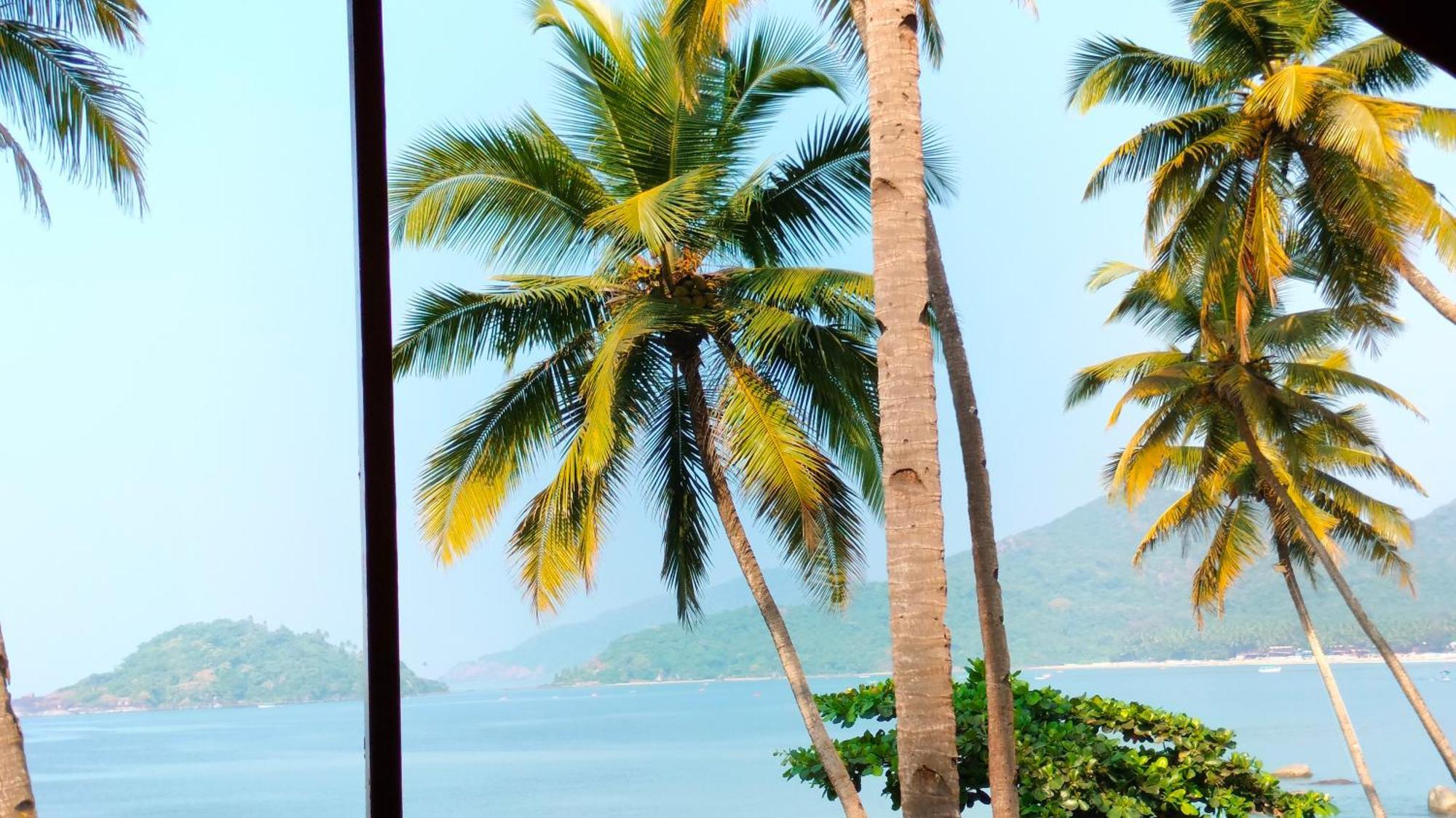 Hilltop Seaview Palolem Goa Hotel Værelse billede